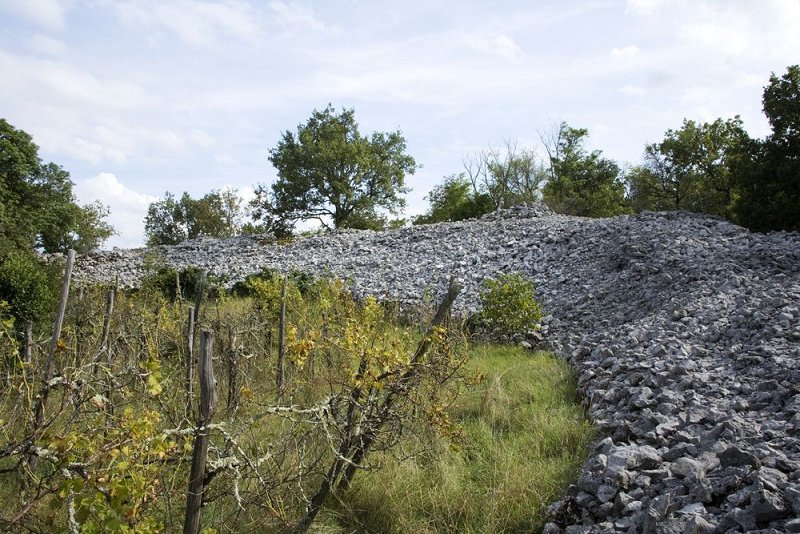 Stone ring, Debela griža. Photo by: V. Benedik, 2014.